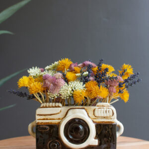 Ceramic Camera Planter
